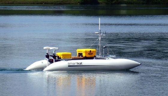 Hand Lay Up Technologie und Leichtbau Dauerhafte Glasfaser Bootsteile zur Gewährleistung