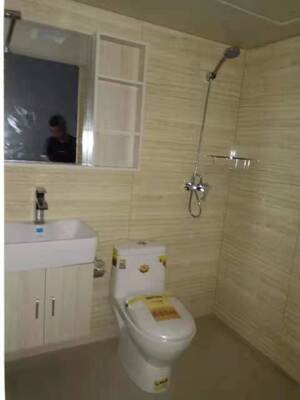 Wasserdichte SMC-Badezimmerwand-Set Integrierte SMC-geformte Badezimmerwandpaneele