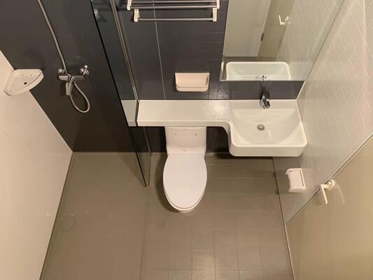 All-in-one SMC integrierte vorgefertigte komplette SMC integrierte vorgefertigte Badezimmer-Einheit